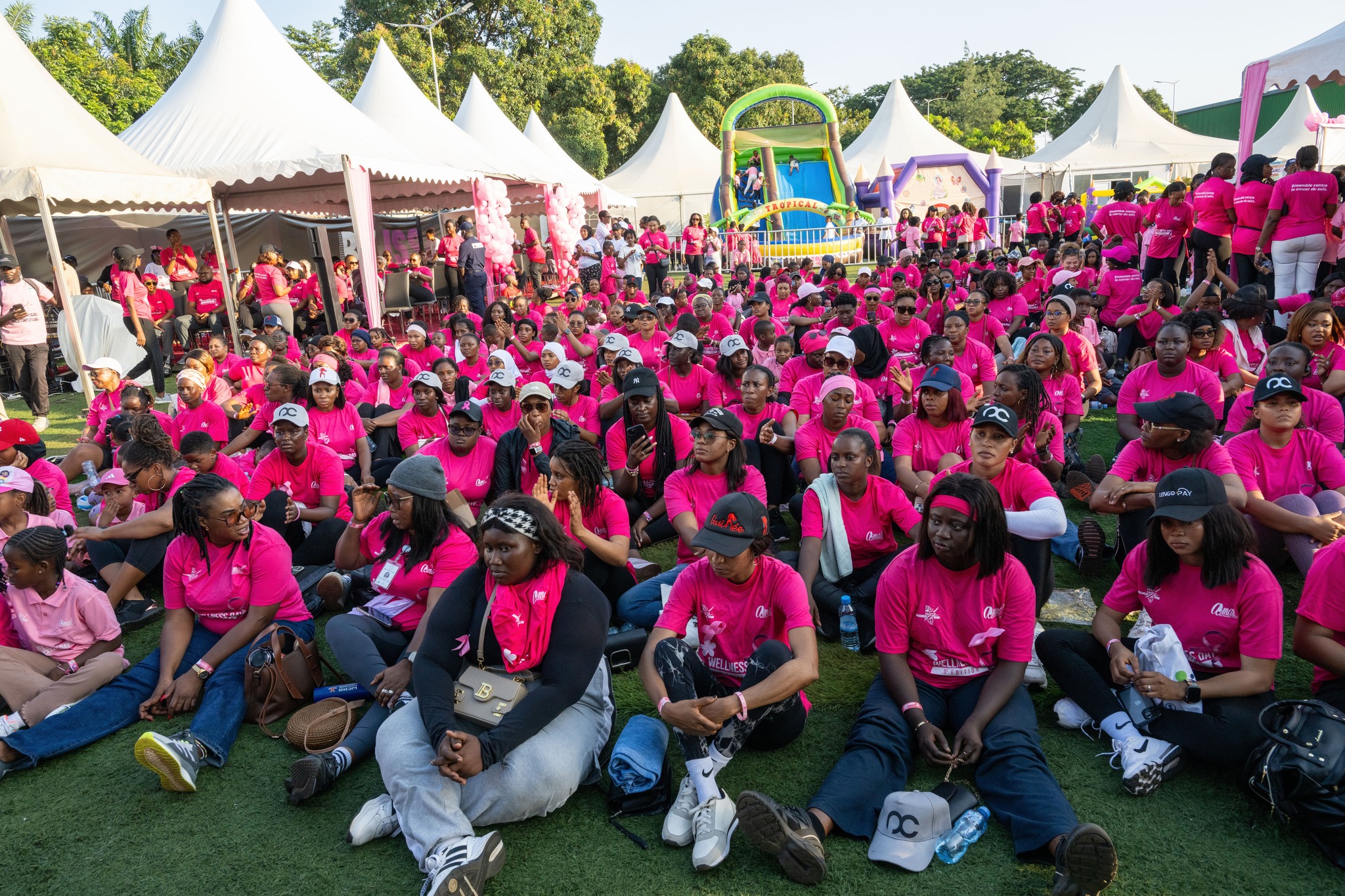 amali3.jpg (1.05 MB)